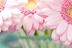 你是你真正的老师