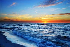 学会处理自己的创伤，进而改变自己的命运