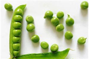 我们心中有什么种子，别人就会怎样对待我们