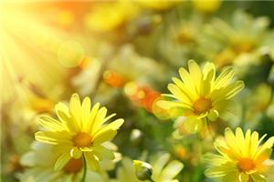 有正能量的人，心中充满阳光