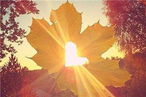 人要经过很多曲折寻找内心的安顿