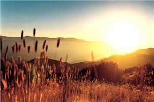 他们为什么成功？