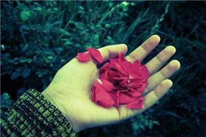 这个世界上没有什么东西是不能放手的