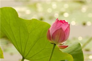 你需明白，生活总是不完美的