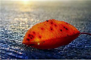 生活：你可以相信别人，但不可以指望别人