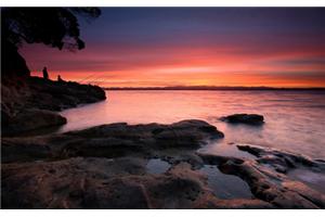 什么是蔡戈尼效应？