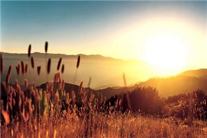 用阳光心态对待生活