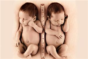 武志红：中国文化的本质是如何做好婴儿，找好妈