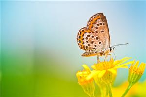 愚孝是怎么形成的呢？