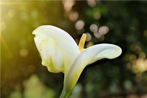 不要失去自己的立场