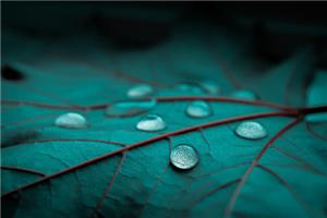 你能控制住自己的欲望吗？