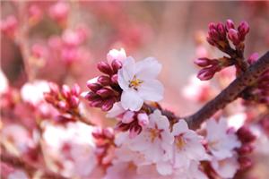 高手遇事怎么处理？