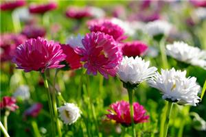 如果你从不出错，其实这也是一个悲剧