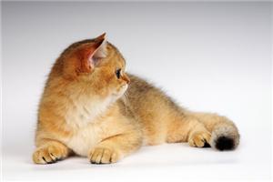 生活中的逗比，得不偿失的角色