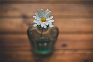 没有人该为你做什么，要学会为自己负责！