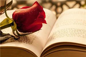 善良的人，面向平和