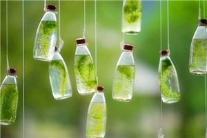 你心里装着什么，你的人生就是什么样子的