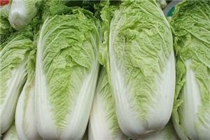 生活中的大白菜心理学