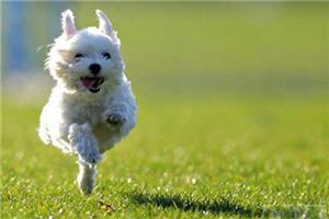 心理常识：心情好时不易信任别人