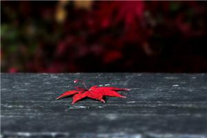 心理咨询师告诉你一个真相：坏习惯不是你的敌人