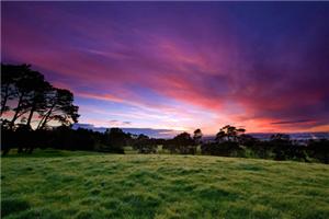 心理的自验预言