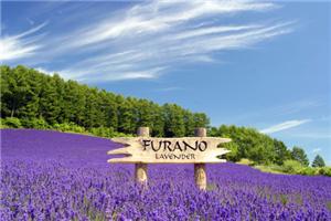 如何操控命运？