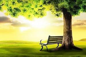 我们为什么需要心理咨询/治疗