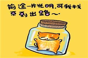 心理漫画：猫言猫语