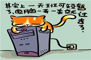 心理漫画：猫的人生哲理