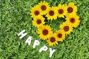 早安心语：抓住机遇