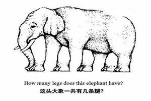 大象有几条腿？