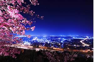 晚安心语：人生的态度