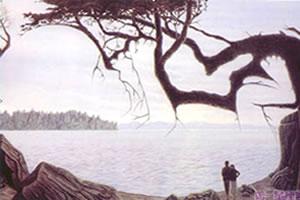 进来测测你是一个细心的人吗？