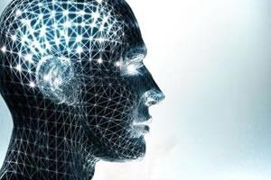 青少年大脑对奖励的应答表现