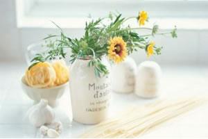 温暖人心的话语