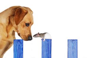 99%都会忽略的细节