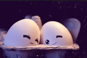 哈佛的幸福课，告诉你什么是幸福