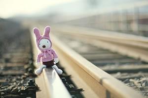 有时候，我们需要的，只是一颗静下来的心