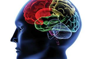 Nat Neurosci：在睡觉时减少恐惧记忆的新途径