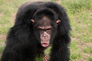 但求装得其所 ——装逼的心理学及社会学分析