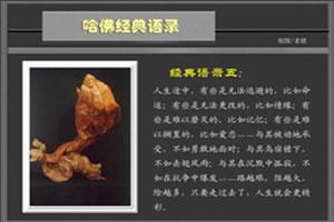 没有什么过不去的，走过了，人生才会更精彩