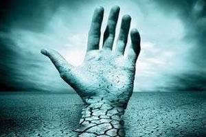 烧死他，还是原谅他，大脑是如何决定的？