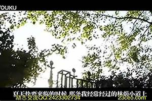 《追火车》送给正在迷茫中徘徊的你