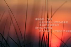 人脉交际8大心理定律