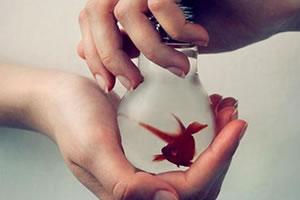 事件切割理论：咦，我刚才是要干什么来着？