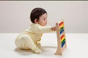 早期教育与智力开发