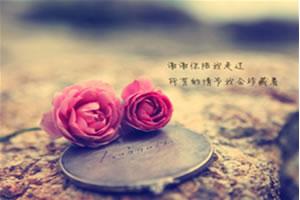 沉淀你的心情，去除浮躁，心静自然凉