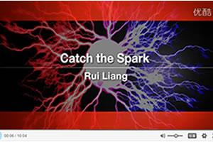 TED演讲集：梁睿 - 抓住灵感的火花