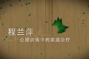 心友网-程兰萍-心理咨询中的家庭治疗
