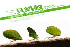 小故事大道理：三只小蚂蚁